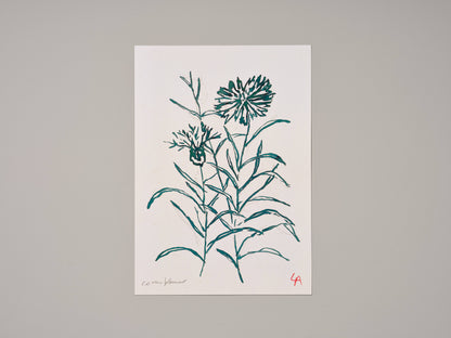 Cornflower Art Print