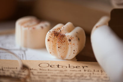 Maleri & Maple Co- Cinnamon Buns Pumpkin Patch Wax Melts